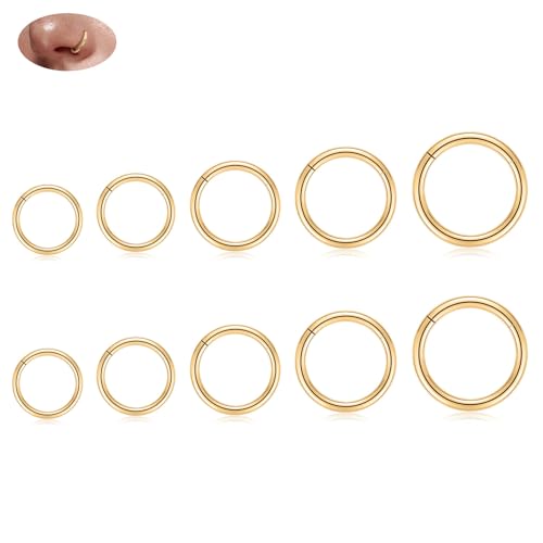 18G Nose Hoop Rings Surgical Steel Hinged Segment Clicker Rings 16G Septum Lip Rings 10 PCS Conch Daith Rook Cartilage Tragus Helix Sleeper Lobe Hoop Earrings Piercing Jewelry for Women 6mm to 16mm - color: Gold:10 pcs