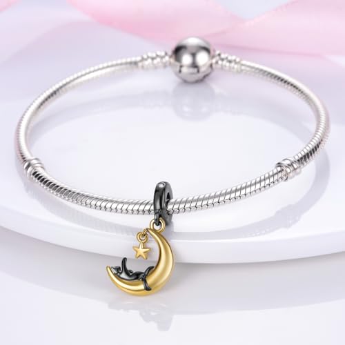 HONGRUI 925 Sterling Silver Charm for Bracelets Fashion Women Jewelry Gift - color: Black Cat