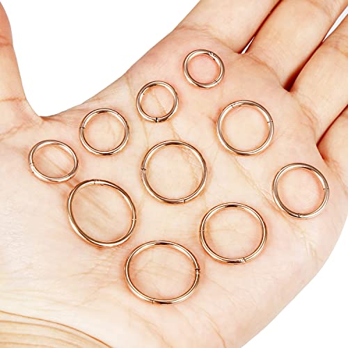Vsnnsns 14G 16G Septum Nose Rings Hoops Lip Ring Piercing Jewelry 316L Surgical Steel Hinged Segment Clicker Cartilage Tragus Helix Conch Rook Daith Lobe Earrings Hoops Piercing Jewelry for Women Men - color: 14G-Rose Gold