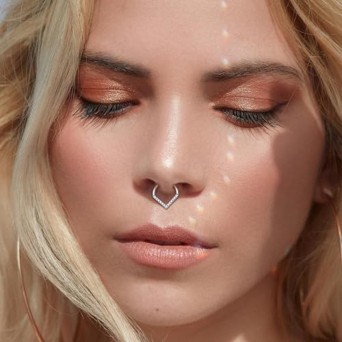 Titanium Septum Rings, Nose Rings Hoops for Women, Segment Nose Rings 16G 8mm/10mm Hypoallergenic Cartilage Conch Helix Rook Hoop Earrings - color: Teardrop-Silver, size: 16 Gauge 8mm
