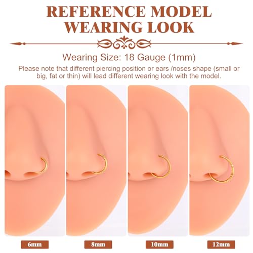 4Pcs Titanium Nose Rings Hoops for Women Men, 18G Gold/Silver Nose Hoops | Hinged Clicker Septum Rings Tragus Conch Helix Daith Lip Body Piercing Jewelry - color: Gold