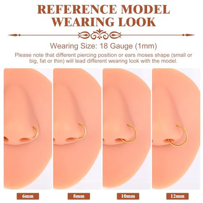 4Pcs Titanium Nose Rings Hoops for Women Men, 18G Gold/Silver Nose Hoops | Hinged Clicker Septum Rings Tragus Conch Helix Daith Lip Body Piercing Jewelry - color: Gold