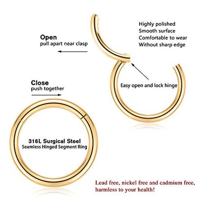 FUNLMO 316L Surgical Steel Hinged Segment Nose Ring Hoop for Nose Septum Cartilage Helix Tragus Conch Rook Daith Lobe Lip Piercings 1 Pc - color: Gold