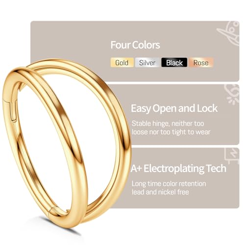 WBRWP 2Pcs Titanium Nose Rings for Women Hypoallergenic Double Hoop | Cartilage Earrings Conch Tragus Rook Piercing Jewelry 16G 18G 20G 7MM 8MM 10MM - color: Gold, size: 16g 8mm