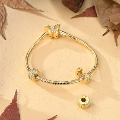 Gold Clip Stopper Charms for Pandora Bracelets Spacers Bead Charms Packs Jewelry Gift for Women - color: Good Luck-2 Packs
