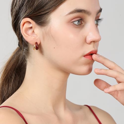 Chunky Resin Teardrop Earrings, 18K Gold Acrylic Resin Drop Hoops，Hypoallergenic Fashion Jewelry for Women,18K Gold Plated Resin Drop Earrings - color: Wine Red