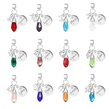 LSxAB Birthday Birthstone Zodiac Sign Charm Compatible with Pandora Charms Bracelets for Women - style: 11 Scorpio