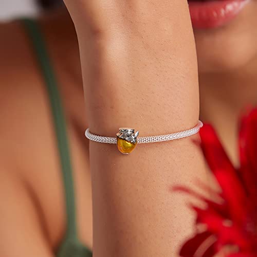 925 Sterling Silver Charms for Bracelet Jewelry Gifts for Women - color: Honey jar