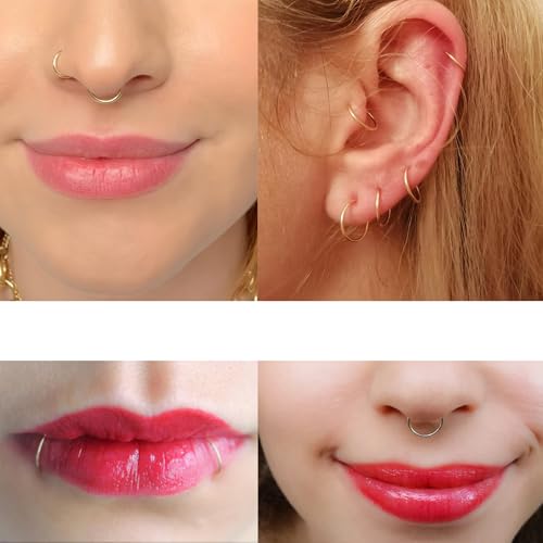4/8Pcs 20G 18G 16G Nose Rings Hoops Surgical Steel | Nose Seamless Hinged Clicker Segment Septum Lip Rings Conch Tragus Cartilage Daith Rook Piercing Jewelry 6mm 8mm 10mm 12mm - color: Gold, size: 18G*(6/8/10/12mm)-8pcs
