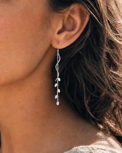 Dangle Earrings for Women - 14K Gold/White Gold/Rose Gold Plated Butterfly Heart Star Hoop Chain Long Tassel Cubic Zirconia CZ Dangle Earrings - color: silver twist fish hook