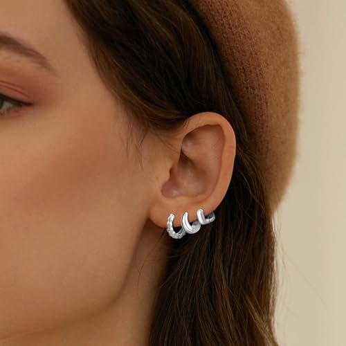 Wgoud Small Gold Hoop Earrings Set for Women, 6 Pairs 14K Gold Plated Hypoallergenic Lightweight Huggie Hoops Earrings, Trendy Cartilage Cubic Zirconia Earrings for Women Gifts. - color: 02Silver
