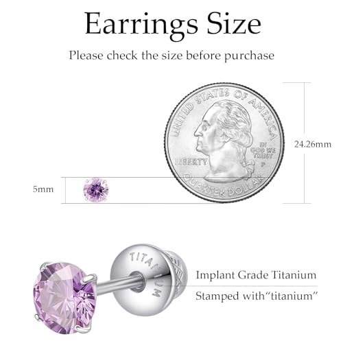 Limerencia Birthstone Screw Back Earrings G23 Implant Grade Titanium Stud Earrings Hypoallergenic Cubic Zirconia Posts Studs Jewelry Gifts for Girls Sensitive Ears - color: February