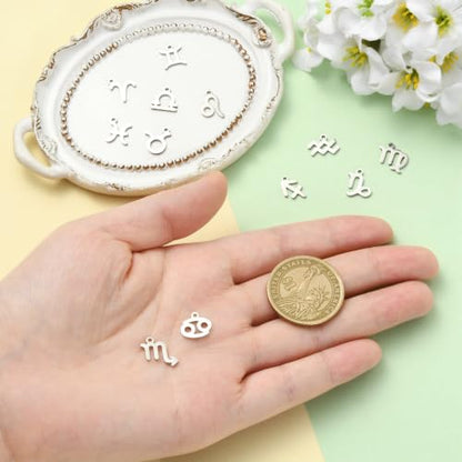 8-64Pcs Silver Goldern Color Heart Pendants Charms 10 Styles Heart Stainless Steel Metal Charms for Jewelry Making Crafting Necklaces Bracelets Earrings Keychains Birthday Gift - color: Constellation-10 Pcs