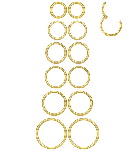 16G 6MM 7MM 8MM 9MM 10MM 12MM Hinged Clicker Septum Rings Pack Surgical Stainless Steel 16 Gauge Nose Ring Daith Rook Tragus Helix Cartilage Conch Hoop Earrings Piercing Jewelry for Women Men - color: Gold Tone