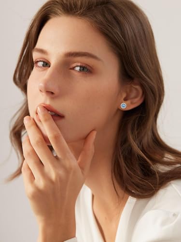 FindChic Birthstone Earrings for Women, Round/Heart/Square/Teardrop Earrings with 925 Sterling Silver Posts & Push Backs, Hypoallergenic Studs with Cubic Zirconia, 12 Months Jewelry with Gift Box - style: 02. February-Amethyst (Round)