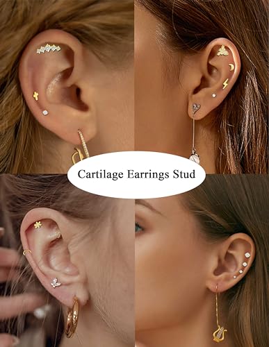 Akeoqi 25Pcs 16G Cartilage Earrings Stud for Women Men Stainless Steel Helix Conch Hoops CZ Opal Flower Butterfly Moon Lighting Snake Bee Forward Rook Tragus Flat Screw Back Piercings Jewelry