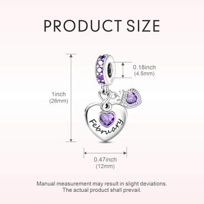 BLUELUNE Birthstone Charms, 925 Sterling Silver Dangle Charm with 5A Cubic Zirconia for Bracelets or Necklaces, Birthday, Mother's Day Present for Women - color: February