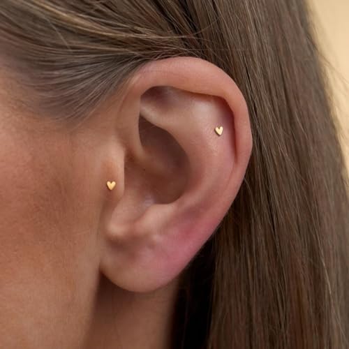 20G/18G/16G Titanium Flat Back Earrings, Threadless Nose Stud Tiny Stud Earrings, Cartilage Tragus Piercing Jewelry Conch Helix Stud - color: Heart (gold 3pcs), size: 18ga(1.0mm)