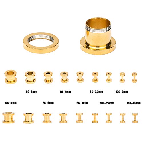 36pcs Ear Stretching Kit 14G-00G Surgical Steel Tapers Tunnels Gauges Set for Starter Women Men Expanders Body Piercing Jewelry… - color: Goldtone