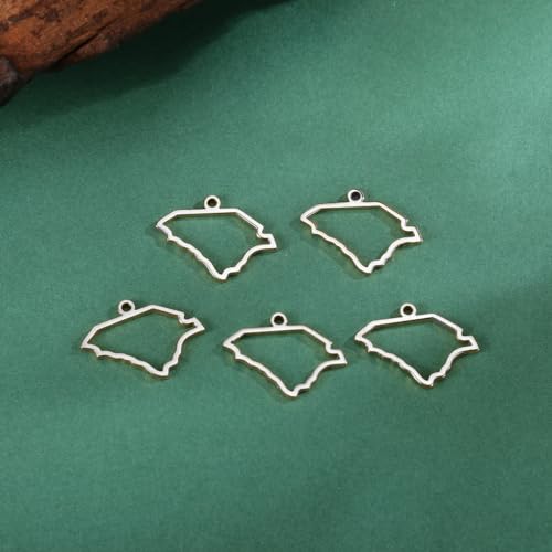 kkjoy 5Pcs Hollow Continents Maps of USA Pendant Charms for Jewelry Making and Crafting, Stainless Steel Mini Charm Craft Supplies Accessories for DIY Bracelet Necklace Earrings - color: Hollow South Carolina Map - Silver