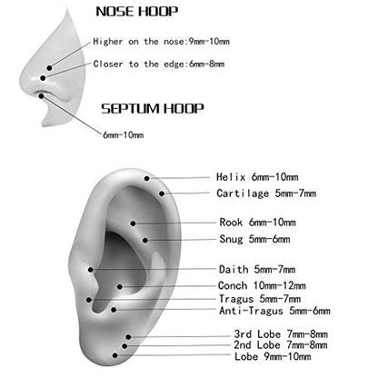 ORANGELOVE Double Hoop Nose Ring 18G 16G 316L Surgical Steel Cartilage Earring Septum Jewelry Seamless Hinged Clicker Segment Ring Conch Daith Tragus Helix Rook Piercing Earring Lip Ring - color: Silver, size: 1pc 18 Gauge 8mm