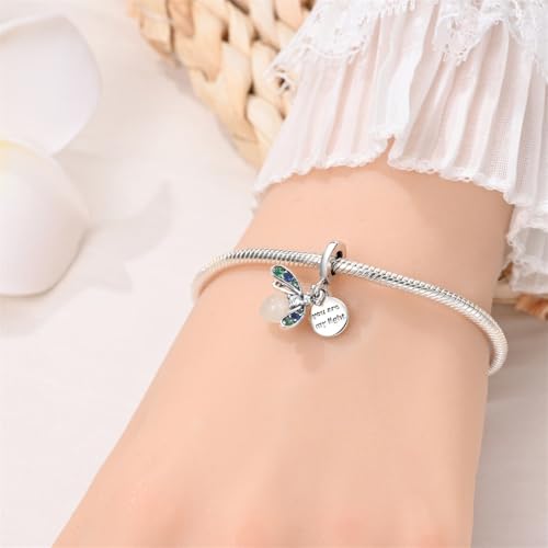925 Sterling Silver Charms for Bracelets and Necklaces Beads Charms Jewelry Gift for Women - color: Silver
