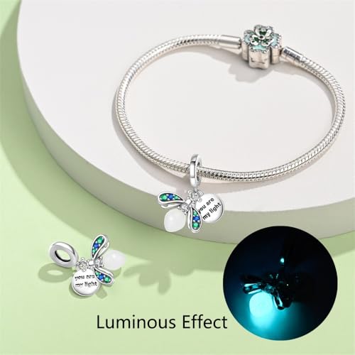 925 Sterling Silver Charms for Bracelets and Necklaces Beads Charms Jewelry Gift for Women - color: Silver