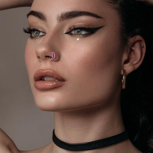 Titanium Septum Rings, Nose Rings Hoops for Women, Segment Nose Rings 16G 8mm/10mm Hypoallergenic Cartilage Conch Helix Rook Hoop Earrings - color: Double Stacked-Pink, size: 16 Gauge 8mm