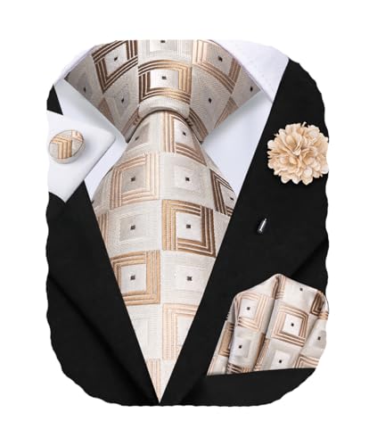 Hi-Tie Men's Silk Ties Formal Woven Classic Necktie Pocket Square Cufflinks Lapel Pin Set Wedding Business - color: Beige and Khaki