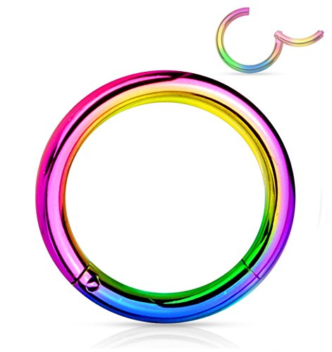 Forbidden Body Jewelry 316L Surgical Steel Hinged Seamless Nose Rings Hoop 14G 16G 18G, Diameter 6mm 8mm 10mm 12mm, Gold/Rose Gold/Silver/Black/Rainbow Colors. - style: 14g 10mm - Rainbow