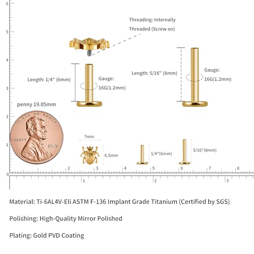 16G 6mm 8mm ASTM F136 Titanium Cartilage Piercing Jewelry Stud for Tragus Helix Conch Flat - color: Beetle - Gold