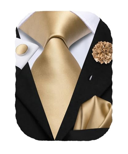 Hi-Tie Men's Silk Ties Formal Woven Classic Necktie Pocket Square Cufflinks Lapel Pin Set Wedding Business - color: Champagne Gold