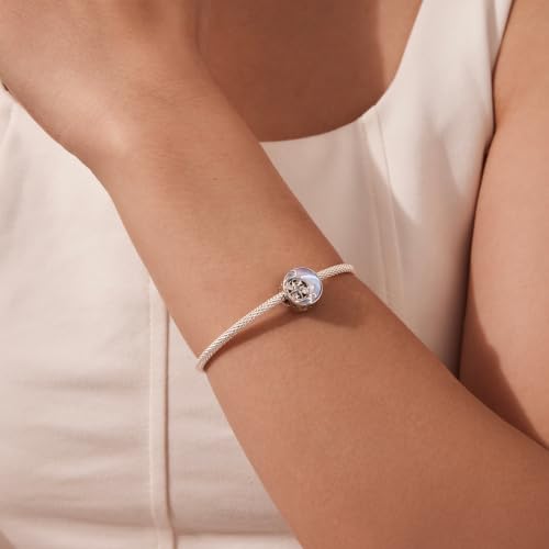 Celestial Bead Charms for Bracelets, Star Moon Dreamcatcher Dangle Charms, Silver Tone Copper, Glass Resin CZ Accents, Charm Beads for Women Jewelry Making, Gift Box Included - color: Moon Star Round Bead Charm