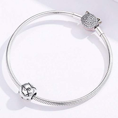 Constellation Charm 925 Sterling Silver Birthstone Bead for Pandora Charms Bracelet-Gift for Anniversary Birthday Christmas Day - color: Aquarius(1.20-2.18)