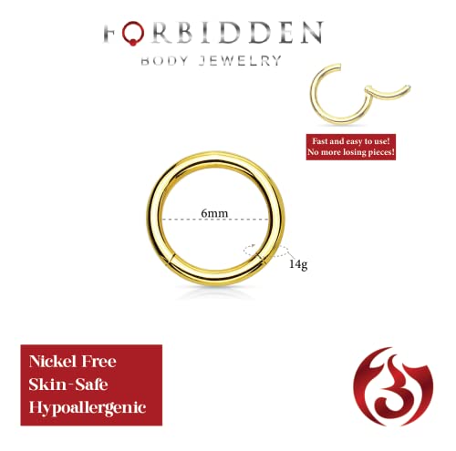 Forbidden Body Jewelry 316L Surgical Steel Hinged Seamless Nose Rings Hoop 14G 16G 18G, Diameter 6mm 8mm 10mm 12mm, Gold/Rose Gold/Silver/Black/Rainbow Colors. - style: 14g 6mm - Gold
