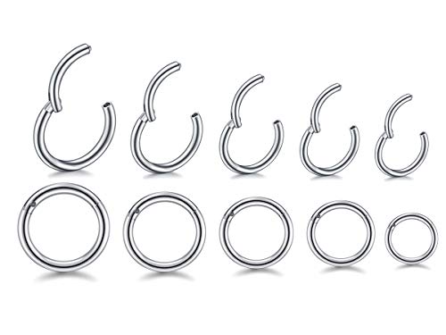 HQLA 16G Surgical Steel Hinged Clicker Segment Nose Rings Hoop Helix Cartilage Daith Tragus Sleeper Earrings Body Piercing for women 6mm 8mm 10mm 12mm 14mm - style: 16G - Steel - (6mm-14mm) - 10Pcs