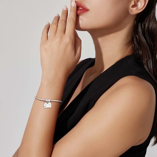 DALARAN Stopper Beads for Bracelets 925 Sterling Silver Clip Spacer Charm Bracelet Stoppers - style: 8Pcs Sliver Charm Stoppers