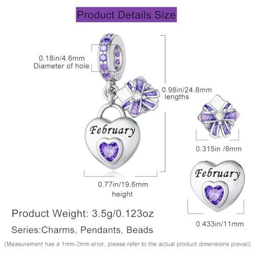 HappyStar 925 Sterling Silver Happy Birthday Bead Charm Love Heart Shape Birthstone Charms for Bracelets Dangle Pendant with 5A Cubic Zirconia Compatible Pandora Bracelets Jewelry Gift for Women - color: 2-February Birthstone Charms