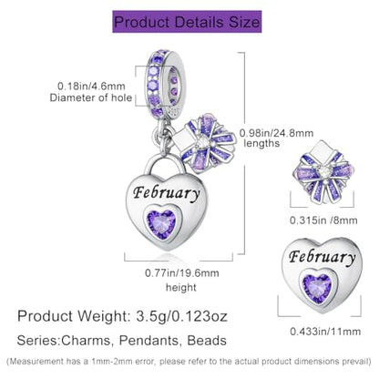 HappyStar 925 Sterling Silver Happy Birthday Bead Charm Love Heart Shape Birthstone Charms for Bracelets Dangle Pendant with 5A Cubic Zirconia Compatible Pandora Bracelets Jewelry Gift for Women - color: 2-February Birthstone Charms
