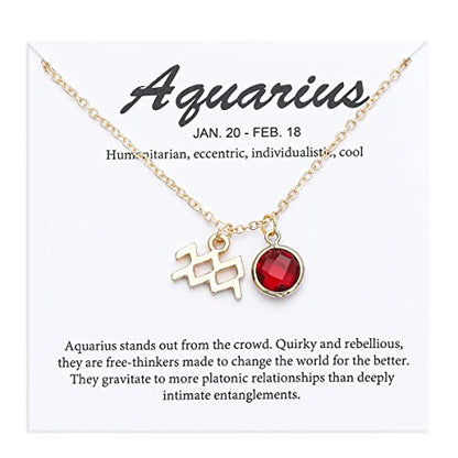 14k Gold Plated Zodiac Birthstone Crystal Pendant Necklace, Horoscope Sign Charm Necklace for Women Birthday Gift - color: Aquarius-Jan.