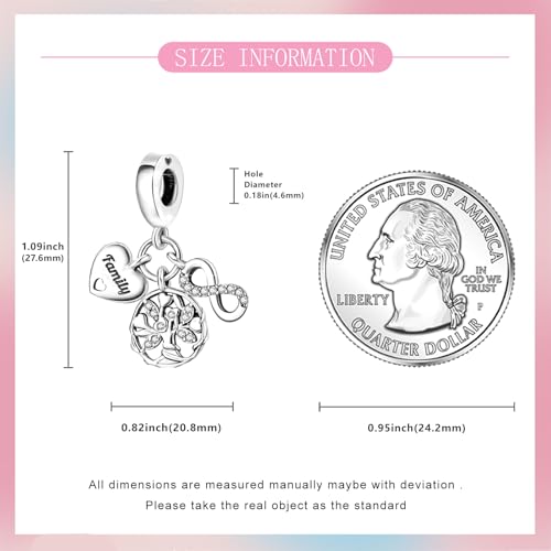 925 Sterling Silver Bead Charm for Pandora Bracelets and Necklaces,Pink Bow Cherry Butterfly Blue Ocean Pendant Bead Charms Jewelry Present Valentines Gifts for Wife/Girlfriend Women - style: Infinite Family Tree Charms
