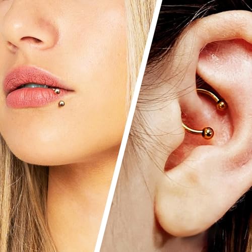 D.Bella 16G 18G 20G Horseshoe Septum Rings Surgical Steel Nose Piercing Jewelry Cartilage Helix Tragus Earring Hoop Eyebrow Lip Retainer for Women Men 6mm 8mm 10mm 12mm - color: 16G-8MM-40 Pcs