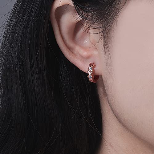 CiNily 14K White Gold Plated Small Hoop Earrings for Women Girls Heart Cubic Zirconia Hypoallergenic Earrings - color: Rose gold-white
