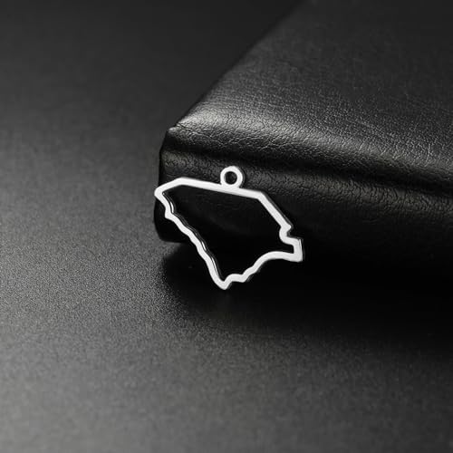 kkjoy 5Pcs Hollow Continents Maps of USA Pendant Charms for Jewelry Making and Crafting, Stainless Steel Mini Charm Craft Supplies Accessories for DIY Bracelet Necklace Earrings - color: Hollow South Carolina Map - Silver