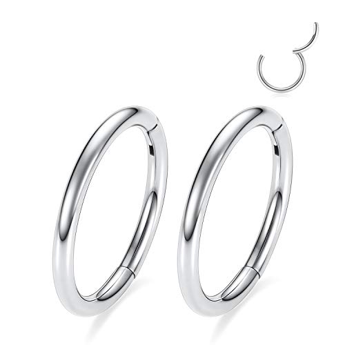GAGABODY 2 Pcs Nose Rings 22G 20G 18G 16G 14G 12G 10G 8G Surgical Steel Piercing Rings for Nose Septum Cartilage Helix Tragus Conch Rook Daith Lobe from 5mm to 16mm Seamless Hoop Unisex Hinged Earrings - color: Silver