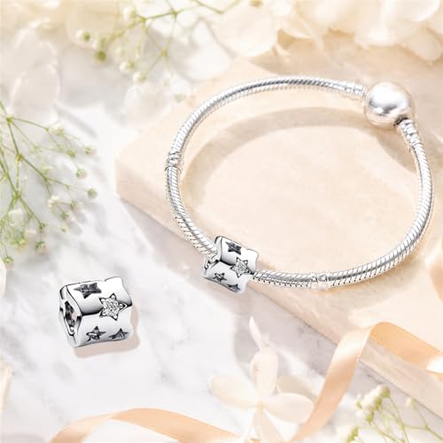 S925 Sterling Silver Cute Bead Charm for Pandora Bracelets and Necklaces | Lucky Clover Cute Animal Pink Bow Cherry Butterfly Pendant Bead Charms Jewelry Making Gifts for Women Valentines Mother's Day - style: Hollow Star Bead Charm