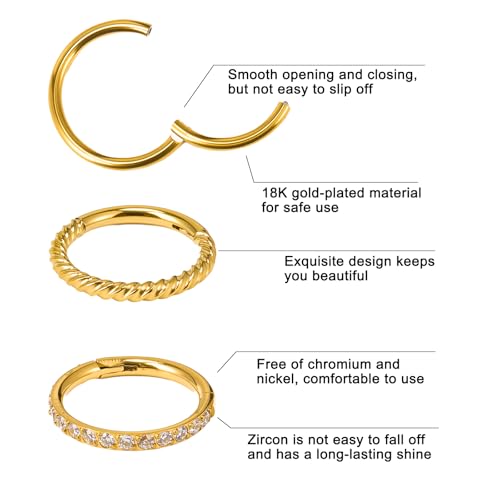4PCS Nose Ring Hoop 316 Surgical Steel Double Hoop Septum Rings 18g 16g Piercing Jewelry with Zircon Spiral for Women Men Nose Septum Lip 8mm