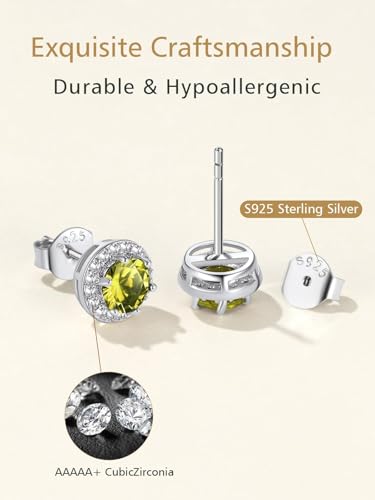 FindChic Birthstone Earrings for Women, Round/Heart/Square/Teardrop Earrings with 925 Sterling Silver Posts & Push Backs, Hypoallergenic Studs with Cubic Zirconia, 12 Months Jewelry with Gift Box - style: 04. April-Diamond (Round)