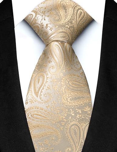 JEMYGINS Mens Paisley Tie and Lapel Pin Necktie Pocket Square and Tie Clip with Sets for Business Casual 4PCS - color: Champagne
