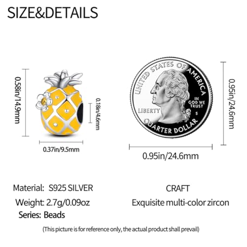 HappyStar 925 Sterling Silver Animal Dogs Charms Pendants fit Pandora Bracelets Necklaces Flowers Sports Travel Charms for Bracelets Women Jrwelry Gifts(with one Spacer Bead Charms) - style: Fruit Pineapple Beads